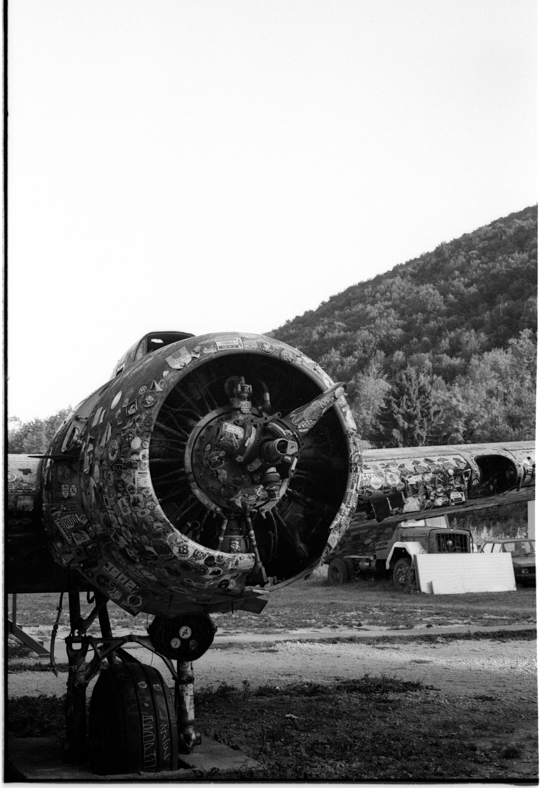 Fotografía 7