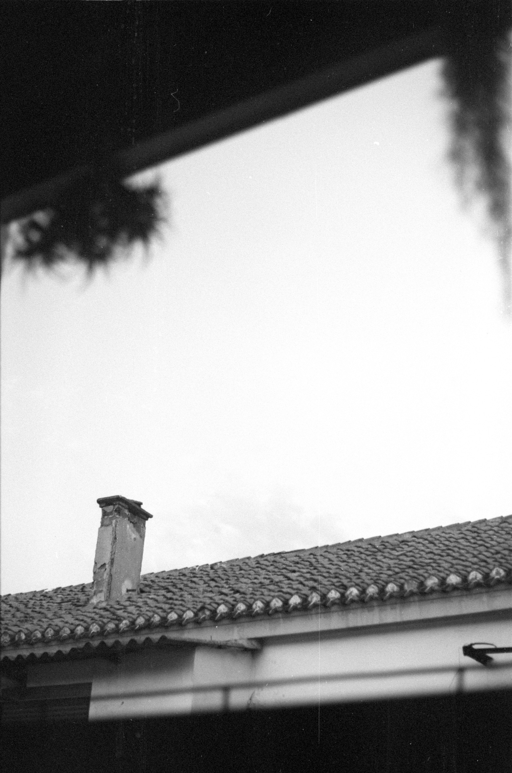 Fotografía 15