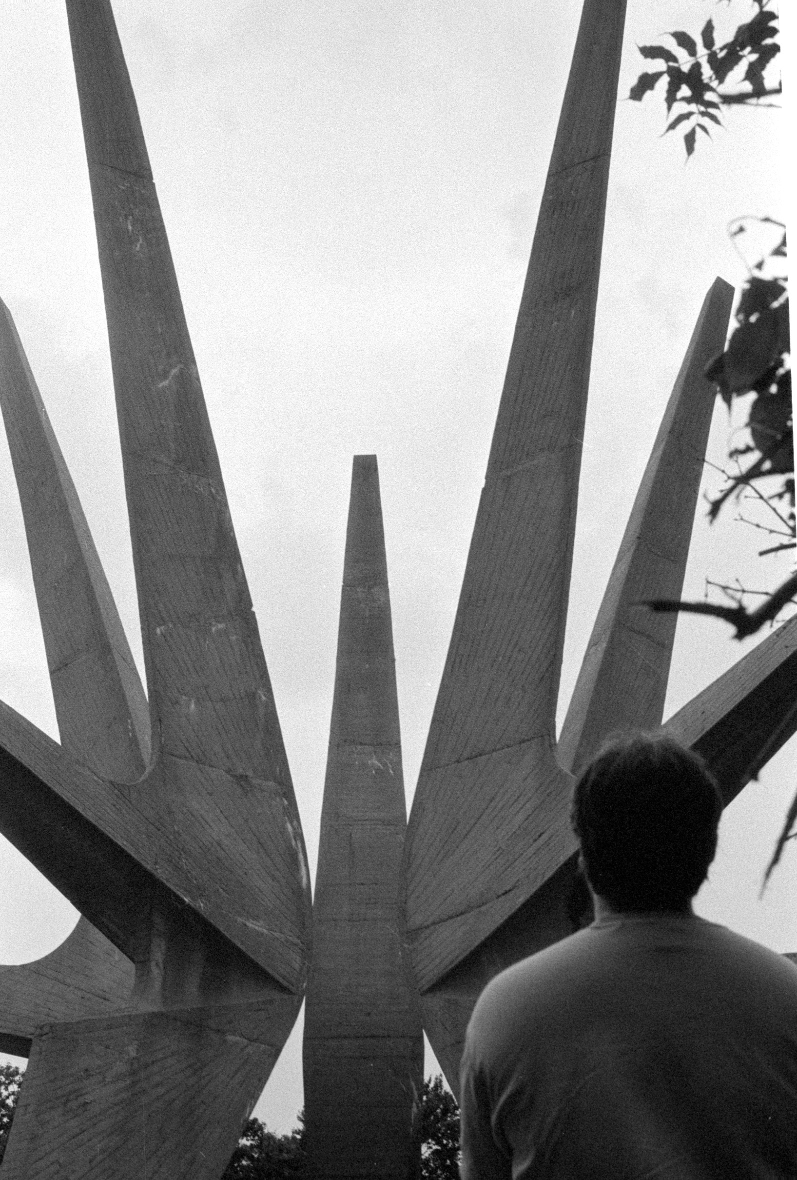 Fotografía 19