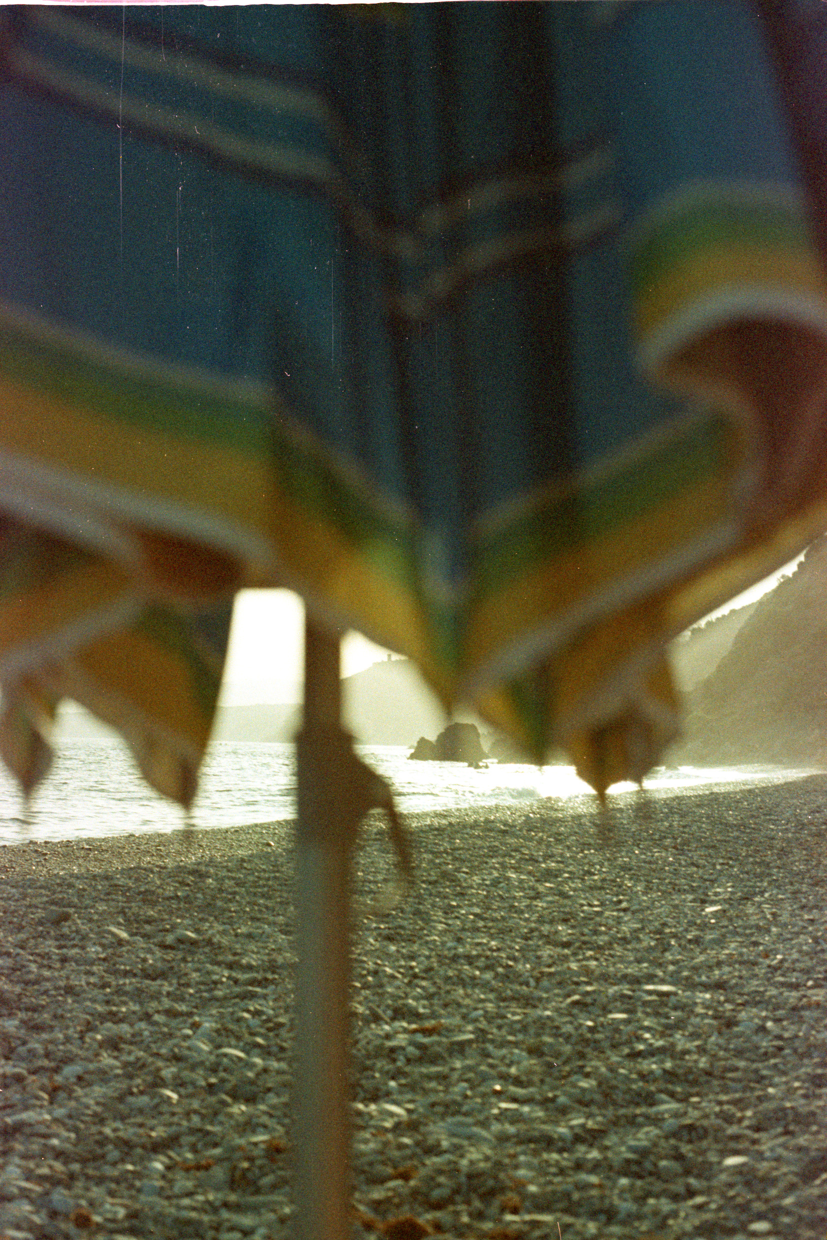 Foto color 12
