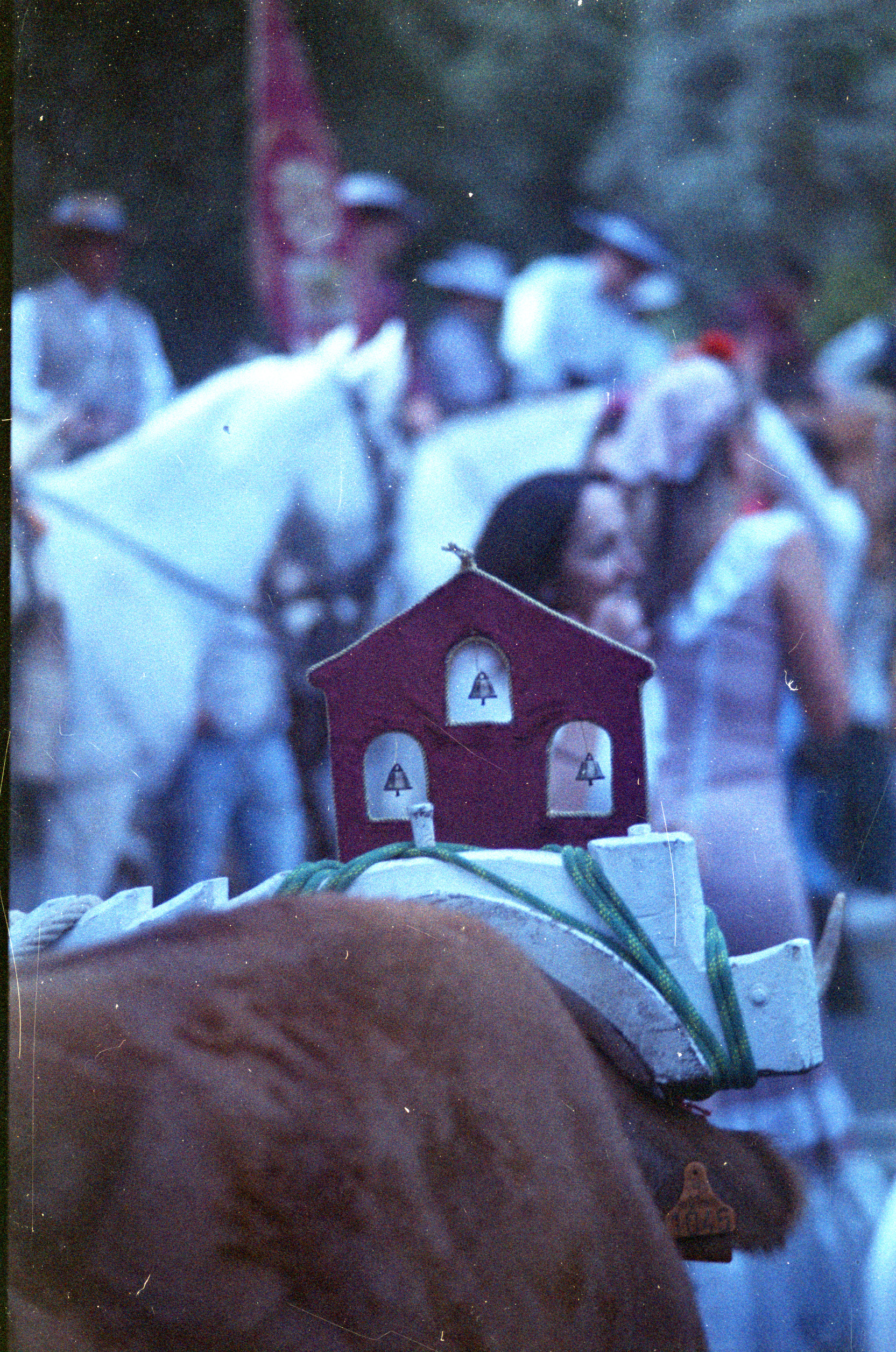 Foto color 15